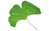 Landärzte Reischach
